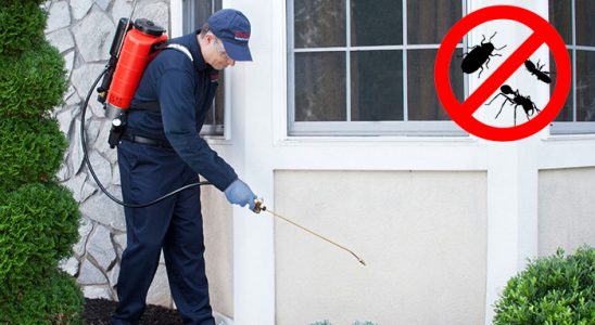 Ulus Karınca İlaçlama böcek ilaçlama ve haşere kontrolü — ilaclama-tr.com